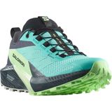 Salomon - Sense Ride 5 - Trailschoenen - Grijs - Gore-Tex