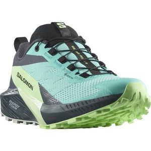 Trail schoenen Salomon SENSE RIDE 5 GTX W l47216000 40,7 EU