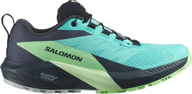 Salomon - Sense Ride 5 - Trailschoenen - Grijs - Gore-Tex