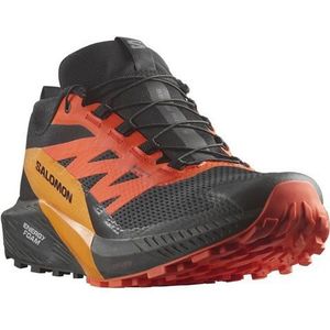 Salomon Sense Ride 5 Goretex Trail Running Shoes Zwart EU 41 1/3 Man