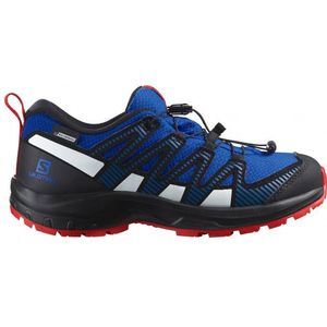 Salomon Xa Pro V8 Cswp Hiking Shoes Blauw EU 31