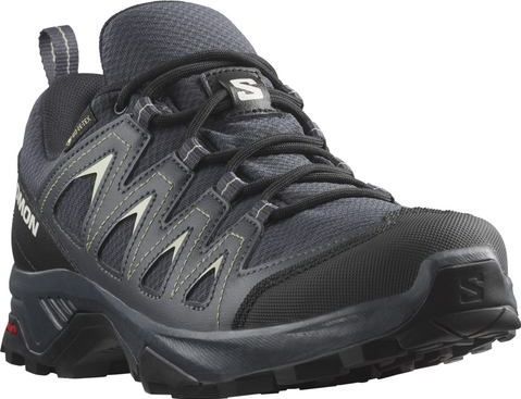 Salomon X Braze Gore-tex wandelschoenen voor dames, India Ink Black Desert Sage