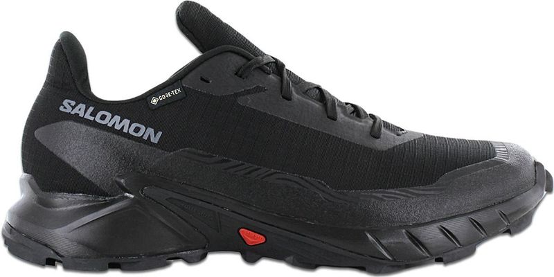 Salomon schwarz 10