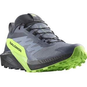 Salomon Sense Ride 5 Goretex Trail Running Shoes Grijs EU 42 2/3 Man