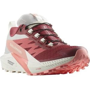 Salomon Womens Sense Ride 5 GTX Trailrunningschoenen (Dames |grijs |waterdicht)