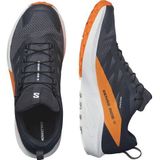 Salomon Sense Ride 5 GTX Heren