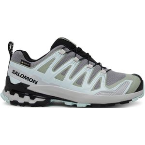 Salomon XA PRO 3D V9 GTX W für Damen, grau, Gr. 38 EU / 5 UK