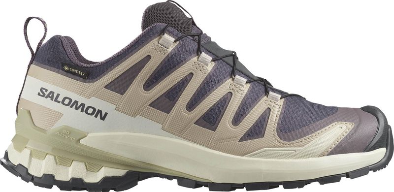 Salomon Trailrunningschoen XA Pro 3D V9 GTX Nine Iron Oxford Tan