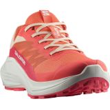 Salomon Alphaglide - Trailrunningschoenen - Zwart - Mesh - All Terrain Contagrip®