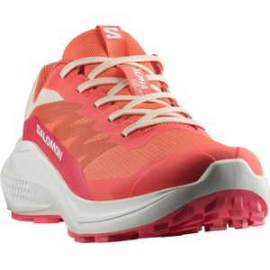 Salomon Alphaglide - Trailrunningschoenen - Zwart - Mesh - All Terrain Contagrip®