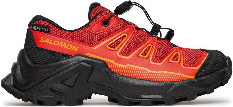 Salomon - X Ultra Goretex - Wandelschoenen