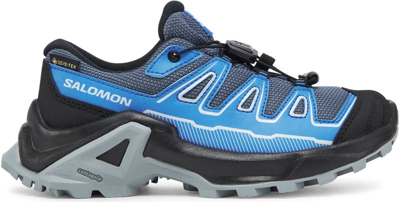 Salomon - X Ultra Goretex - Wandelschoenen