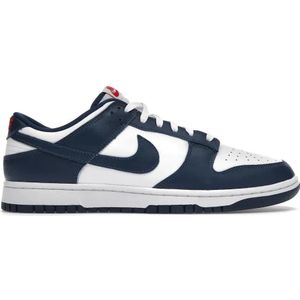 Nike Dunk Low Retro Herrenschuh - Blau