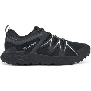 Columbia Peakfreak Roam Waterdichte trekking- en wandelschoenen met lage taille voor heren, Zwart, zilver, grijs, 44 EU