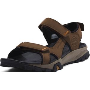 Sandalen für die Berge Timberland Winsor Trail Braun