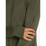 Icebreaker Merino 260 Quantum Iv Sweatshirt Met Rits Groen Man
