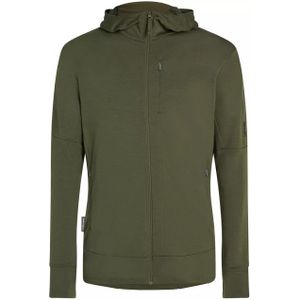 Icebreaker Merino 260 Quantum Iv Sweatshirt Met Rits Groen Man