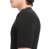 Icebreaker 175 Everyday Crewe Thermoshirt Mannen