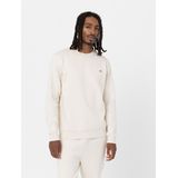 Dickies Oakport Sweatshirt Beige Man