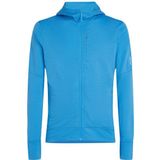 Icebreaker - Merino 260 Quantum - Sweatshirt - Grijs - 100% Merinowol