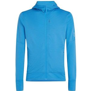 Icebreaker 260 Quantum IV LS Zip Hoody Vest Heren - Arctic