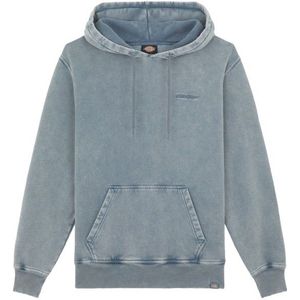 Dickies - Plentywood Hoodie - Heren Sweatshirt