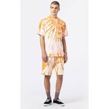 Dickies Seatac T-shirt Met Korte Mouwen Oranje M Man