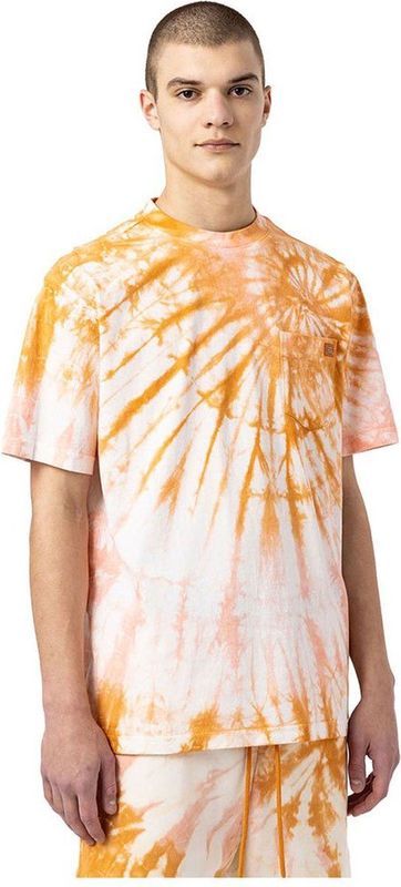 Dickies Seatac T-shirt Met Korte Mouwen Oranje M Man