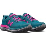 UA BGS ASSERT 10