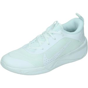 Nike omni multi-court in de kleur wit.