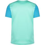 Nike Heren Short Sleeve Top M Nk Df Trophy V Jsy Ss, Hyper Turq/Chlorine Blue/Wit, DR0933-354, XS