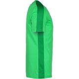 Nike Academy T-Shirt Heren - Green Spark