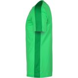 Nike Academy T-Shirt Heren - Green Spark