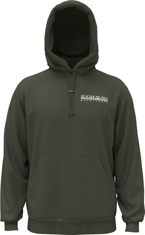 Napapijri B-telemark 1 Capuchon Groen Man