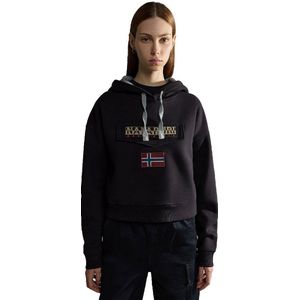 Napapijri Burgee Hoodie