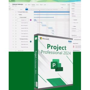 Microsoft Project Professional 2024
