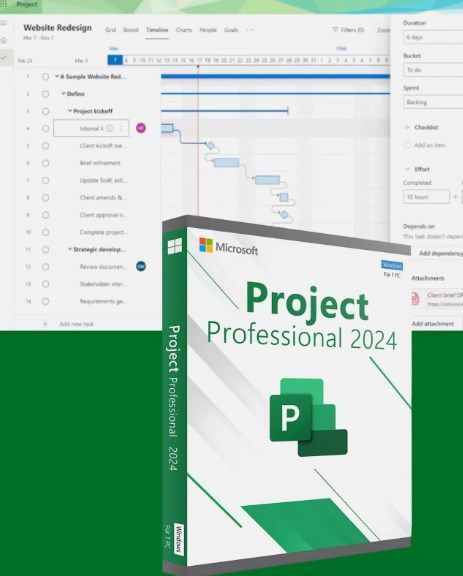 Microsoft Project Professional 2024
