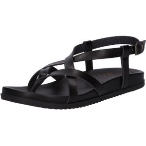 Damessandalen Blowfish Malibu Camden in Zwart