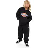 Dickies Hoodie - Katoenmix - Capuchon met Labelprint - Model 'YOUTH'
