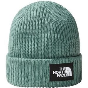 The North Face Salty Lined Beanie Muts Heren Dark Sage One Size