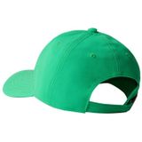 The North Face Recycled 66 Classic Pet Optic Emerald One Size