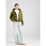 The North Face Womens Hyalite Down Hoodie Nylon Donsjack (Dames |olijfgroen)