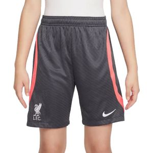 Nike - Liverpool FC 23/24 - Voetbalshorts - Grijs - Zweetafvoerende Technologie