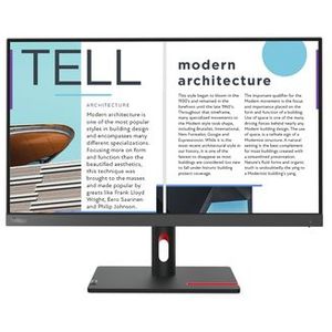 Lenovo ThinkVision S25e-30 LED display 62,2 cm (24.5") 1920 x 1080 Pixels Full HD Grijs