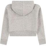 Under Armour - Rival Hoodie - Sweater - Grijs - Katoenmix