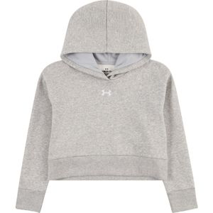Under Armour - Rival Hoodie - Sweater - Grijs - Katoenmix