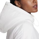 Nike Sportswear Classic Puffer Winterjas Dames - Maat M