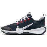 Nike Omni multi-court
