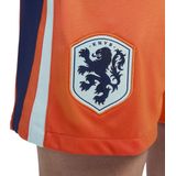 Nike Nederland Stadium Thuisshort Heren