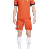 Nike Nederland Stadium Thuisshort Heren